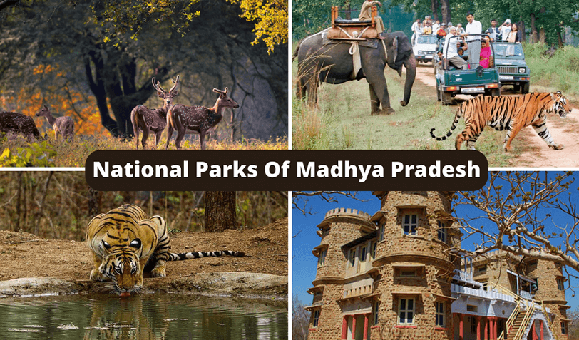 National Parks Of Madhya Pradesh