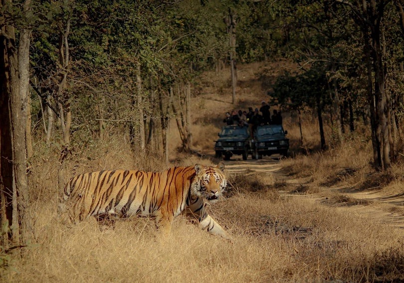 Sanjay Dubri National Park