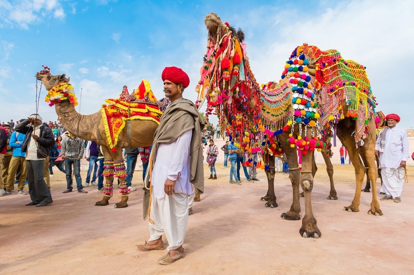 Camel Fair in Diwali