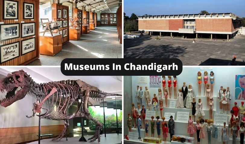 Museums In Chandigarh
