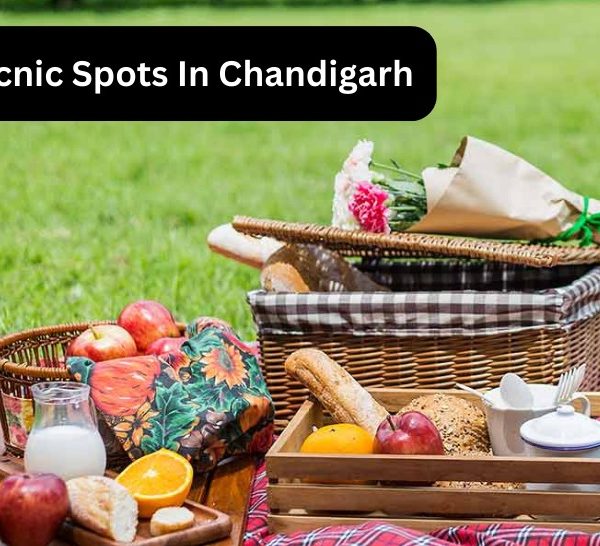 Picnic Spots In Chandigarh