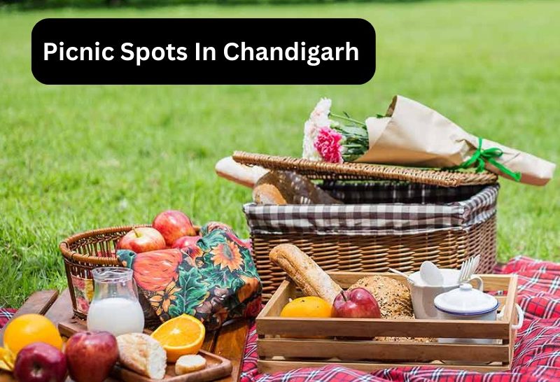 Picnic Spots In Chandigarh