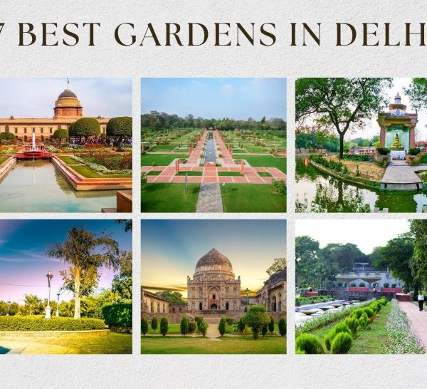 Best Gardens In Delhi