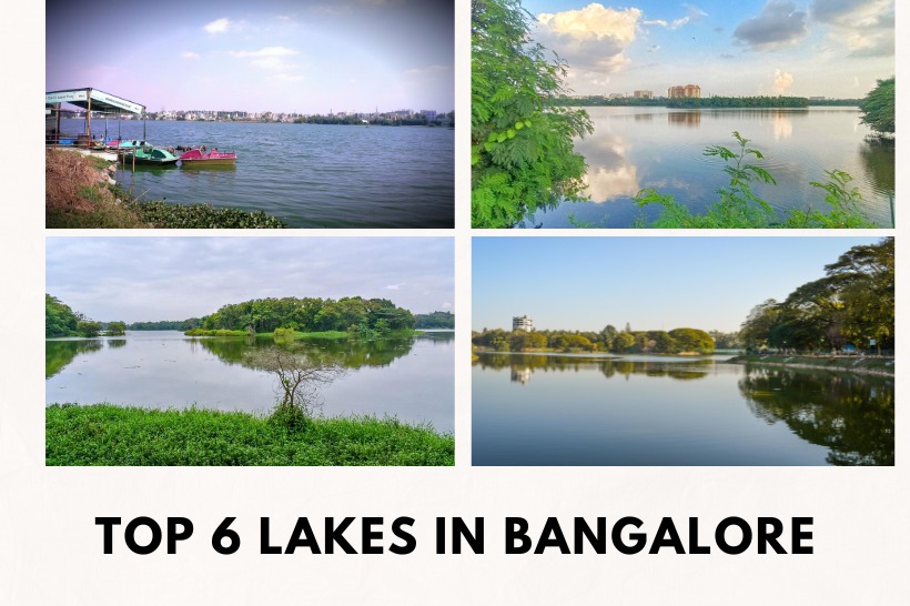 Discovering the Best Lakes in Bangalore for Relaxation and Recreation